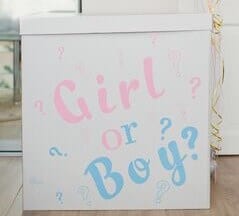 gender reveal party